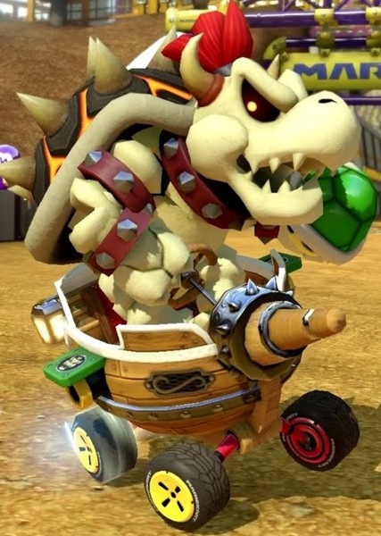 Dry Bowser photo