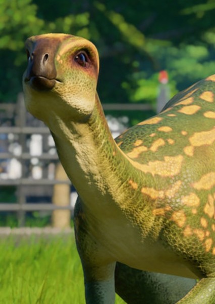 Dryosaurus photo