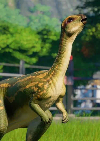 Dryosaurus photo