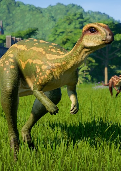 Dryosaurus photo