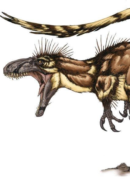 Dryptosaurus photo