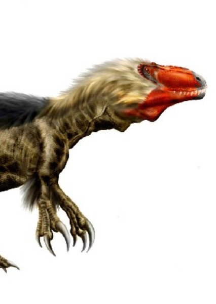 Dryptosaurus photo