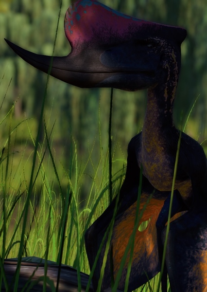 Dsungaripterus photo