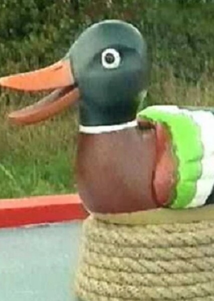 Duck (Rosie and Jim)