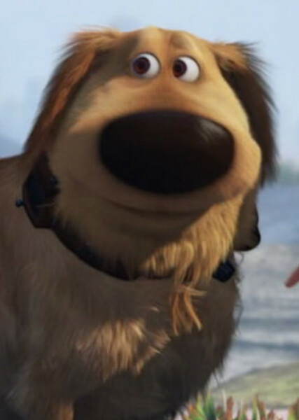 Dug (Up) photo