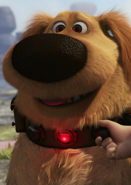 Dug (Up) photo