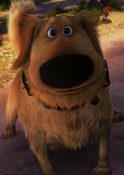Dug (Up) photo