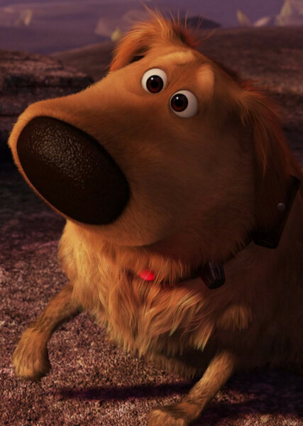 Dug (Up) photo