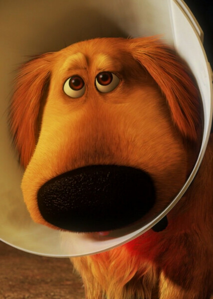 Dug (Up) photo