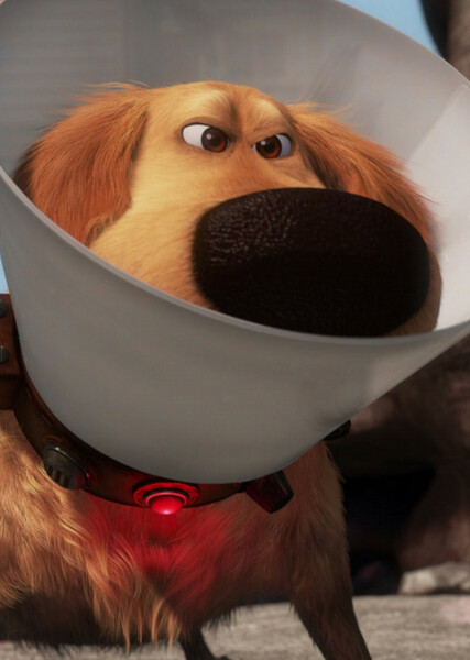 Dug (Up) photo