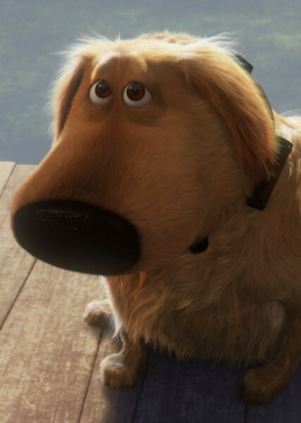 Dug (Up) photo