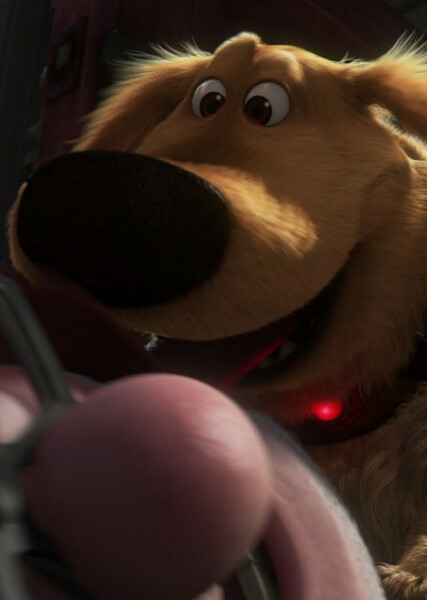 Dug (Up) photo