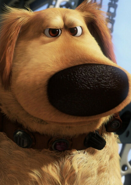 Dug (Up) photo