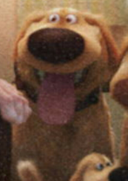 Dug (Up) photo