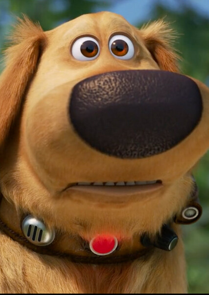 Dug (Up) photo