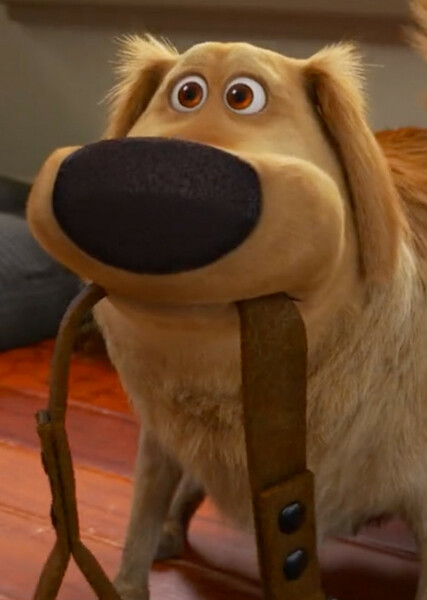 Dug (Up) photo
