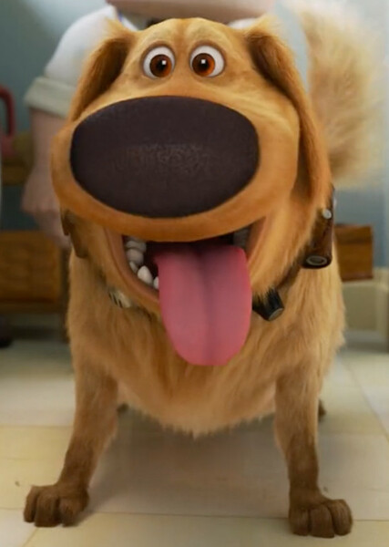 Dug (Up) photo