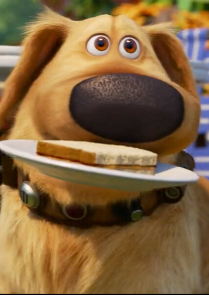 Dug (Up) photo