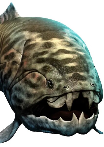 Dunkleosteus photo
