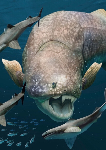 Dunkleosteus photo