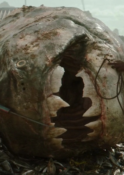 Dunkleosteus photo
