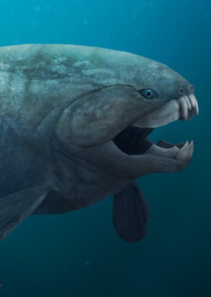 Dunkleosteus photo