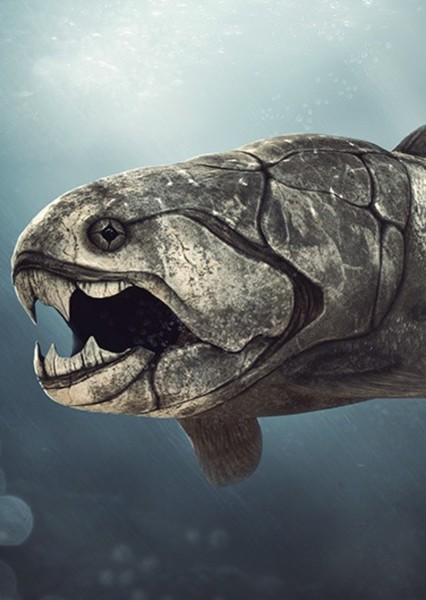 Dunkleosteus photo