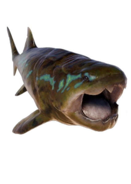 Dunkleosteus photo