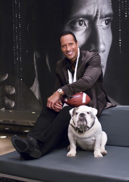 Dwayne Johnson photo