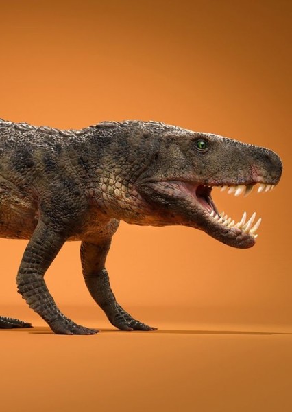 Dynamosuchus