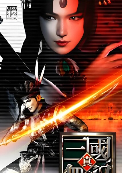 Dynasty Warriors photo