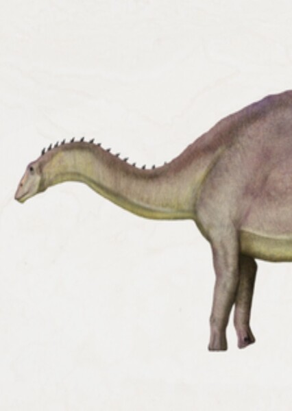 Dyslocosaurus