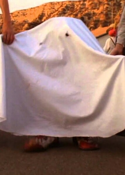 E.T. The Extraterrestrial photo