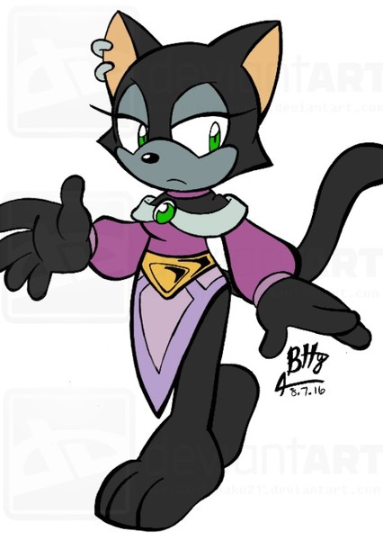 Ebony the Cat photo