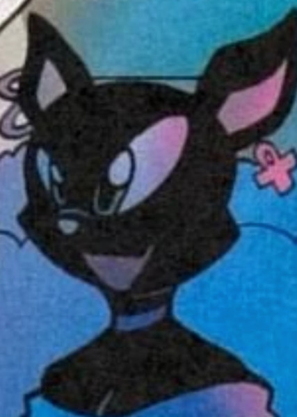 Ebony the Cat photo