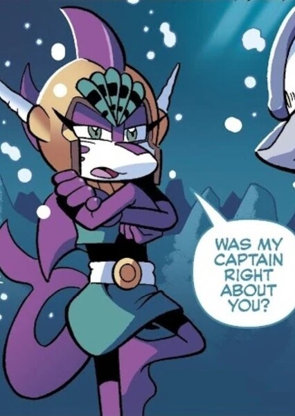 Echo the Dolphin photo