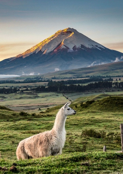 Ecuador