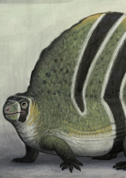 Edaphosaurus photo