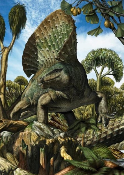 Edaphosaurus photo