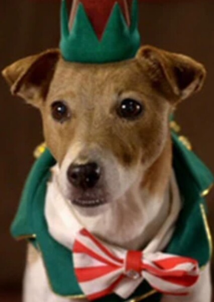Eddy the Elf Dog (Santa Buddies)