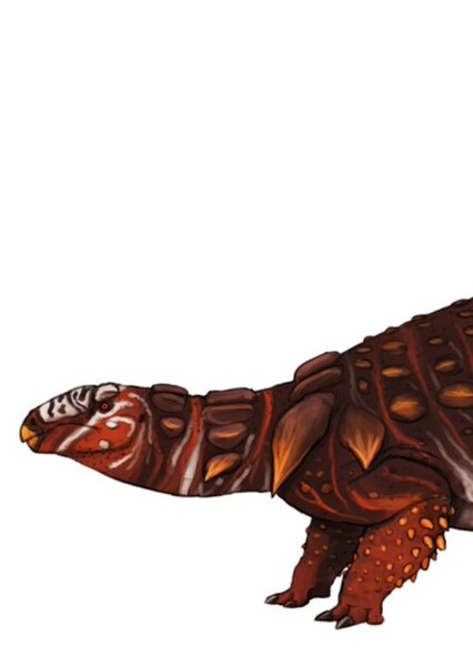 Edmontonia