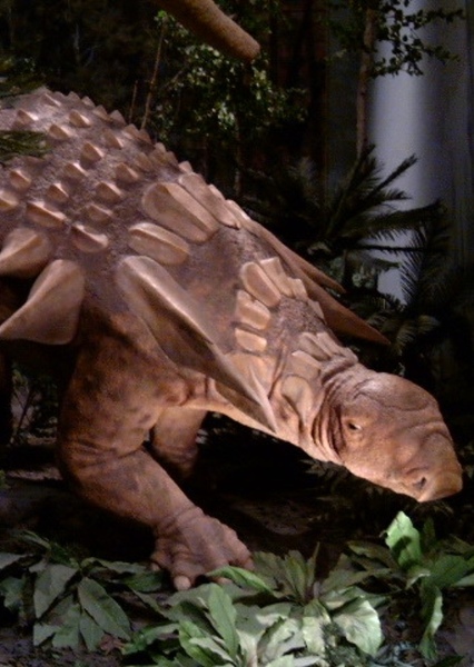 Edmontonia