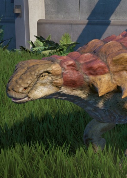 Edmontonia photo
