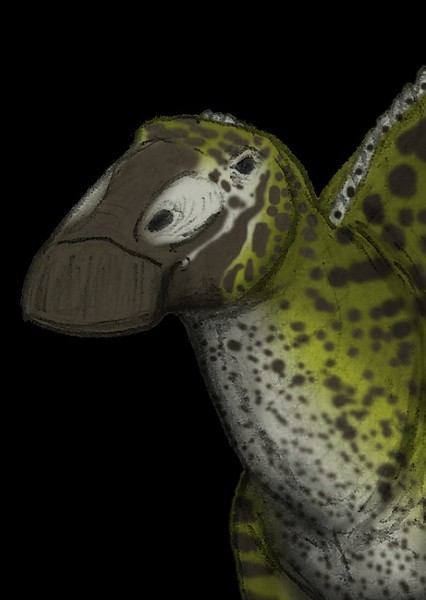 Edmontosaurus photo