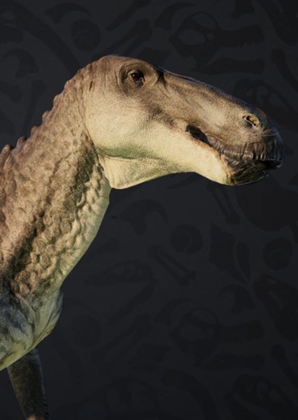 Edmontosaurus photo