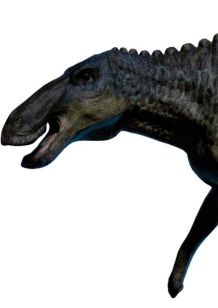 Edmontosaurus photo