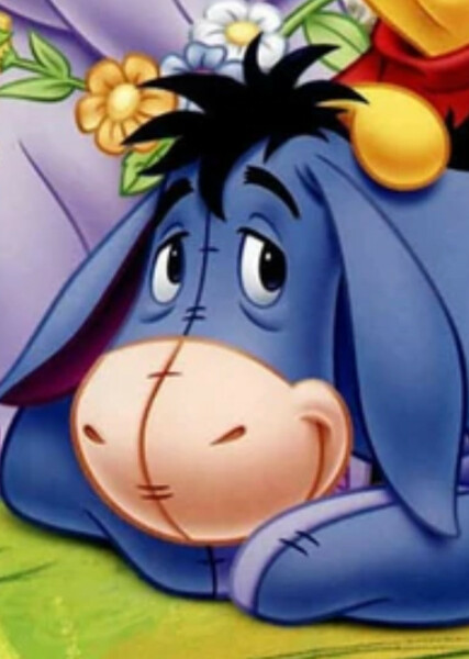 Eeyore photo