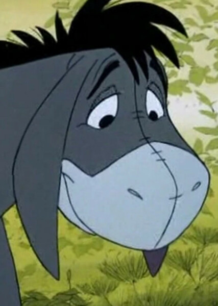 Eeyore photo