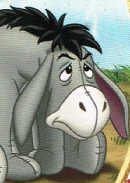 Eeyore photo