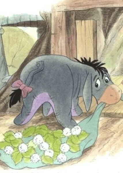 Eeyore photo